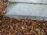 image of grave number 761613